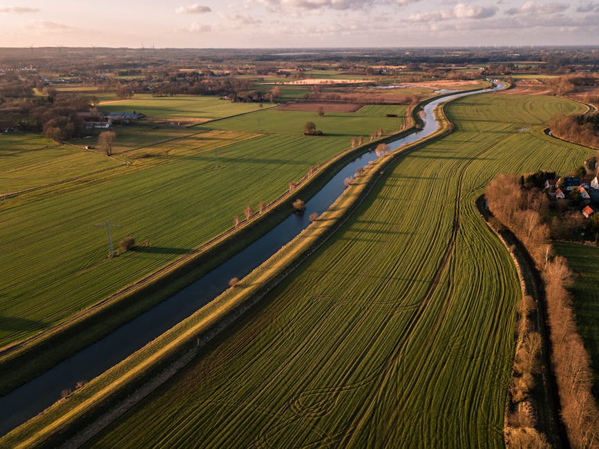 A modern farm scene showcasing drones monitoring crops, AI sensors in fields, and automated machinery, symbolizing the future of AI in agriculture.