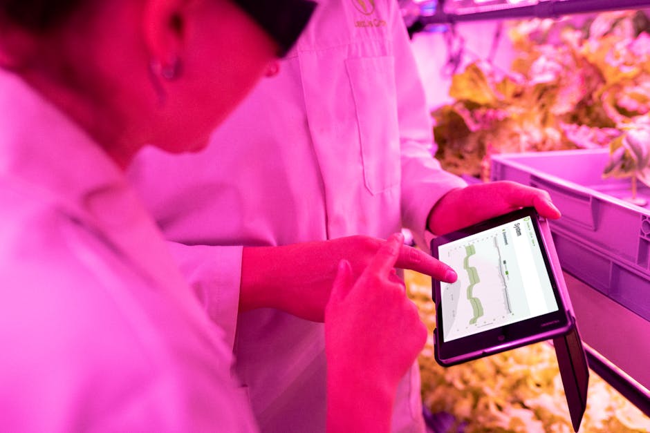 Hands review data on a tablet in a vertical farm, optimizing plant growth metrics using insights from a data science platform.