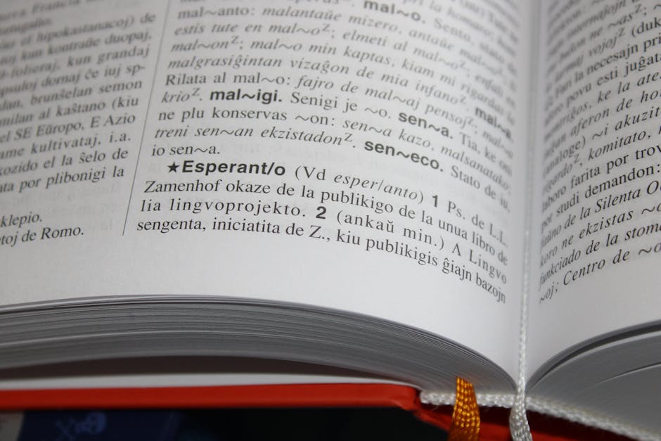 Close-up of an open dictionary, symbolizing traditional language reference for multilingual WordPress site translation.